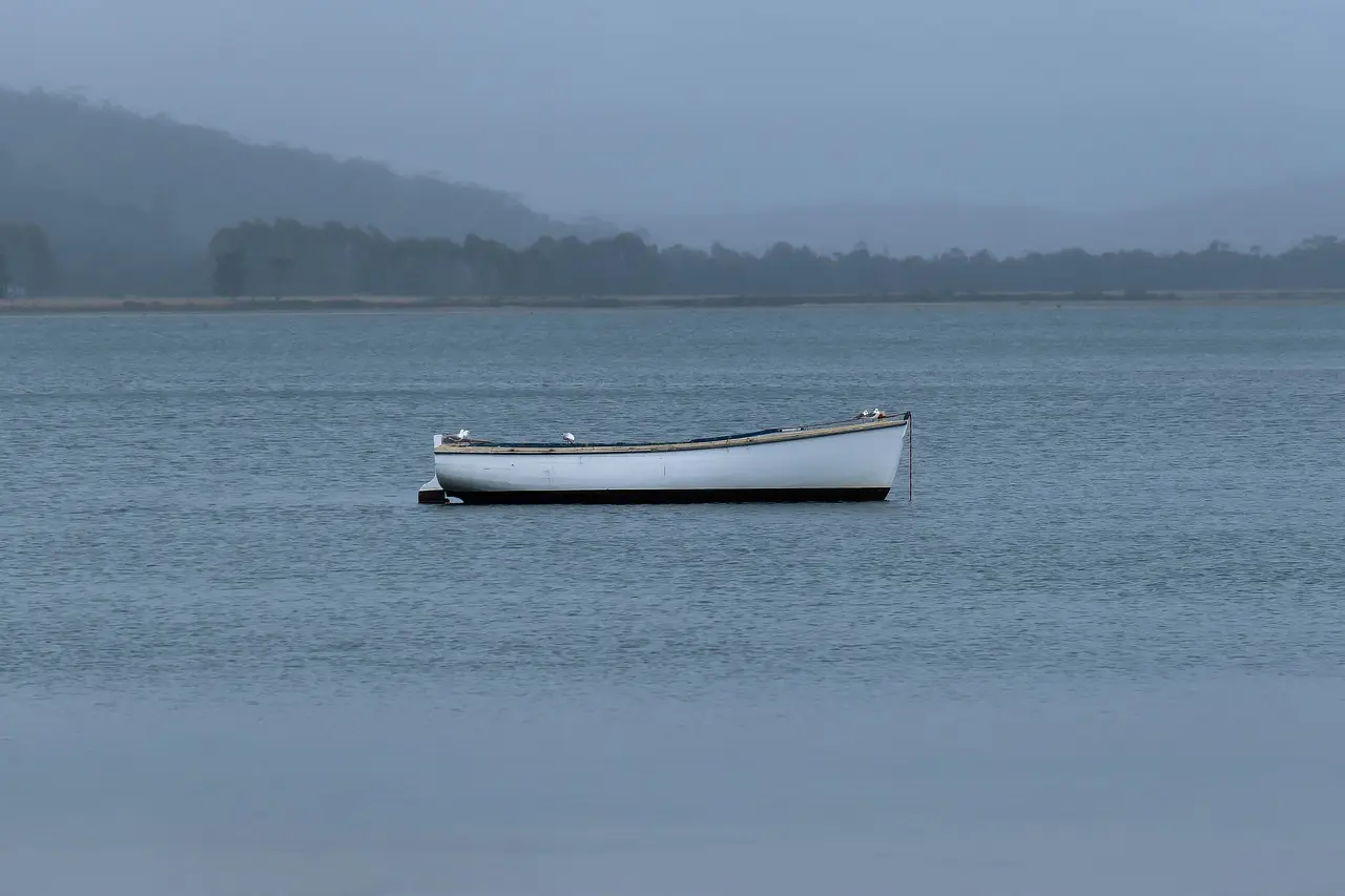 Jolle: hjælp til krydsord