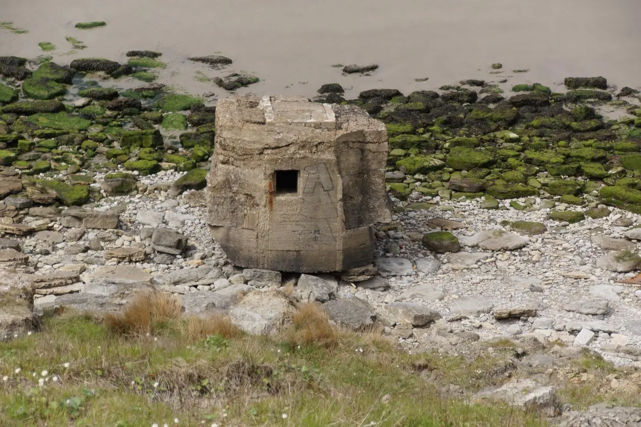 Bunker Krydsord hjælp