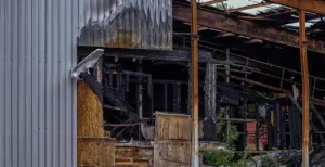 Hvad betyder betegnelsen “finit verbum” i dansk grammatik?