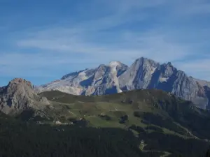 Hvad betyder capoeira i brasiliansk kultur?