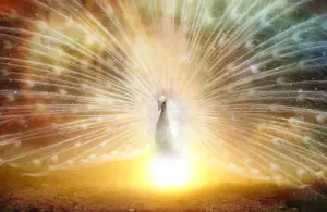 Hvad betyder feng shui i kinesisk boligkultur?