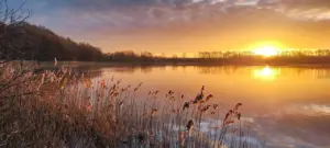 Hvad betyder forkortelserne ‘m.v.’ og ‘m.m.’?