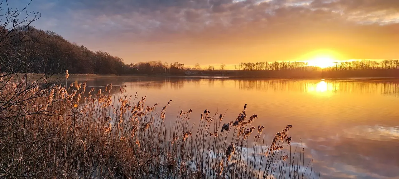 Hvad betyder forkortelserne 'm.v.' og 'm.m.'?