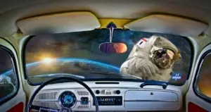 Hvad er en tankestreg, og hvornår bruges den?