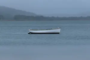 Jolle: hjælp til krydsord