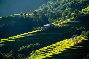 Medvirkende i Sjit Happens